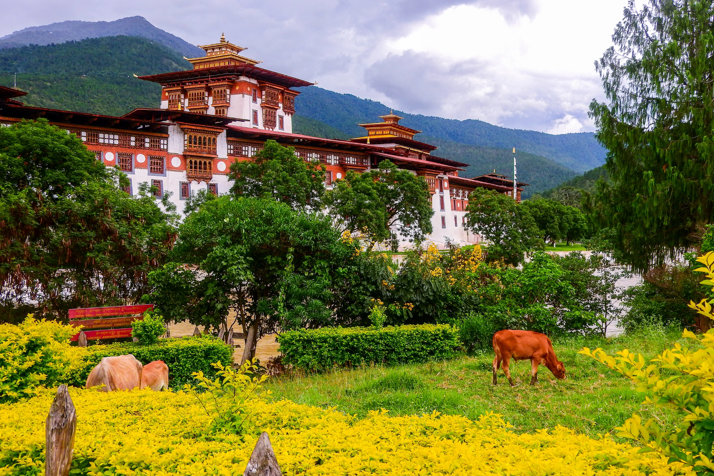 Punakha_(Bhutan)[1].webp